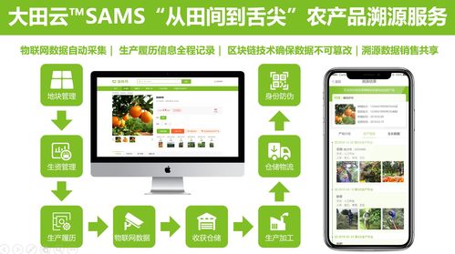 大田智慧農(nóng)業(yè)投資1.28億元數(shù)字化服務(wù)，構(gòu)筑農(nóng)產(chǎn)品安全生產(chǎn)新生態(tài)
